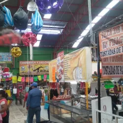 Mercado Municipal Tepeji del Rio