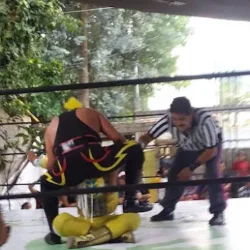 Arena torito hdz gimnasio