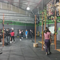 Urban KingDom Cross-Gym