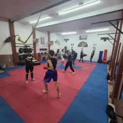 TAEKWONDO Y KICK BOXING DOJANG ELITE