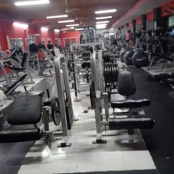 Muscle Factory