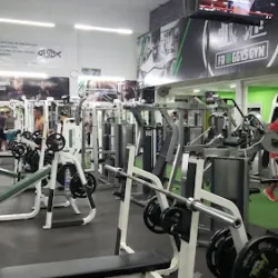 Froggys Gym