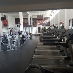 Master Gym huertas