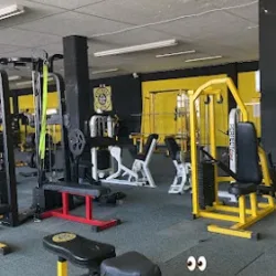 PITBULL GYM