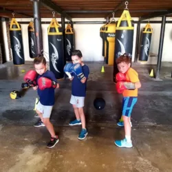 Hmo Boxfitness