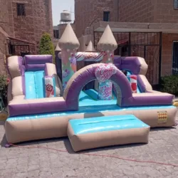 Diversiones Mike Renta de Inflables y artículos para fiestas)