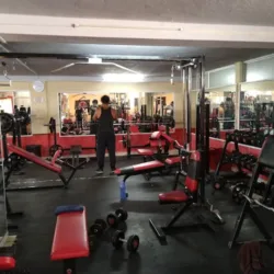 SPARTANS GYM