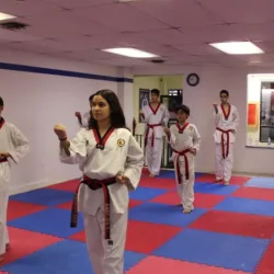 Blackbelt Taekwondo