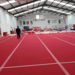 Club Gimnástico Regio