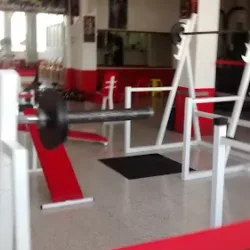 Instituto de Artes Marciales El Tigre y El Dragón
