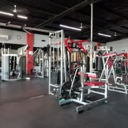Pro Body Gym