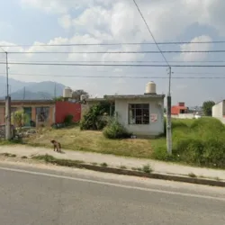 Coscolinos
