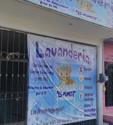 Lavandería Es-Pumita