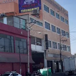 Gorilas gym 2