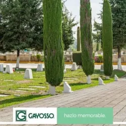 Servicios Funerarios GAYOSSO Parque Funeral Colonias