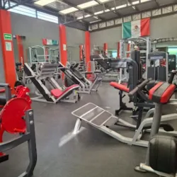 Steel Temple Gym