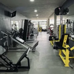 Arnolds gym