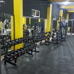 1% Muscle GYM