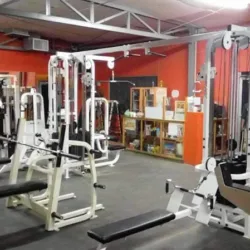BODY FITNESS 2