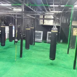 Bedoya's Boxing