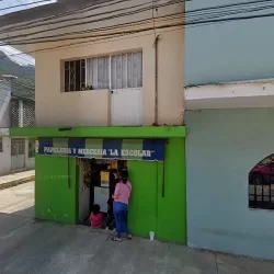 PAPELERIA Y MERCERIA LA ESCOLAR