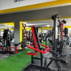 11 gym