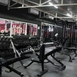 Lionfit Villa Verde
