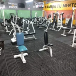 Spider Gym 1