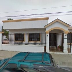 Curandera Verde