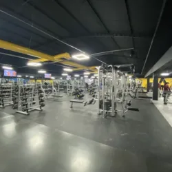 AM Fitness Victoria