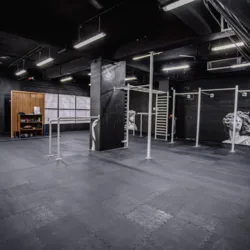 Forza Gravity Gym