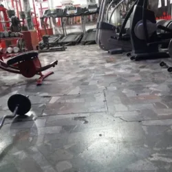 Genesis Gym