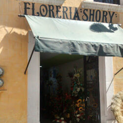 Mariano Vargas decorador de eventos (florería shory)