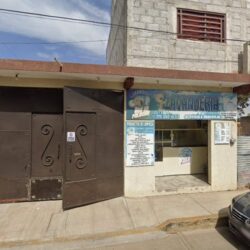 Lavanderia el oso de peluche