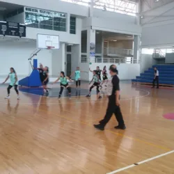 Modulo Deportivo Multidisciplinario San Francisco Del Rincon
