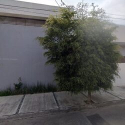 ISI Clean Zamora