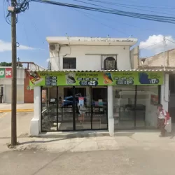 El Copión Sucursal San Vicente