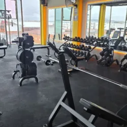 Cesar's GYM