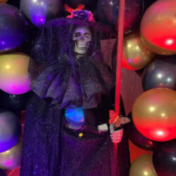 Tarot Sr. Miguel Angel