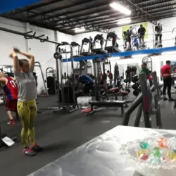 Alfa Fitness Gym