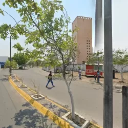 PAPELERIA Y MERCERIA CARSOT