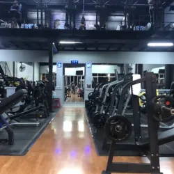 Progym 24/7