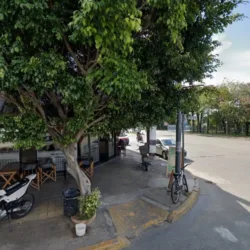 Merceria Buttons
