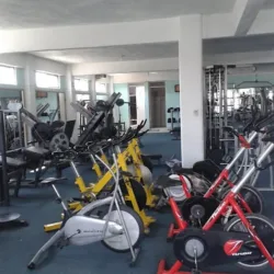 Gym Box Sporting