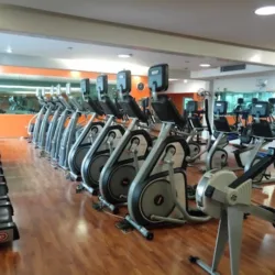 Fashion Sport Gym