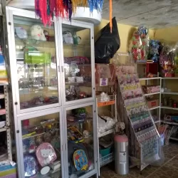 Novedades "Charito"