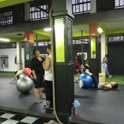 Omega fit