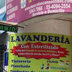 Lavanderia + Plus