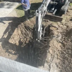Roto-Rooter Plumbing Service