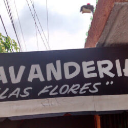 Lavanderia las flores